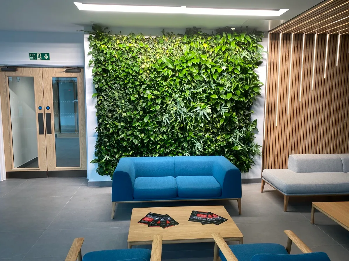 Small internal living wall in SEGRO V Park, with a sofa in front of it.
