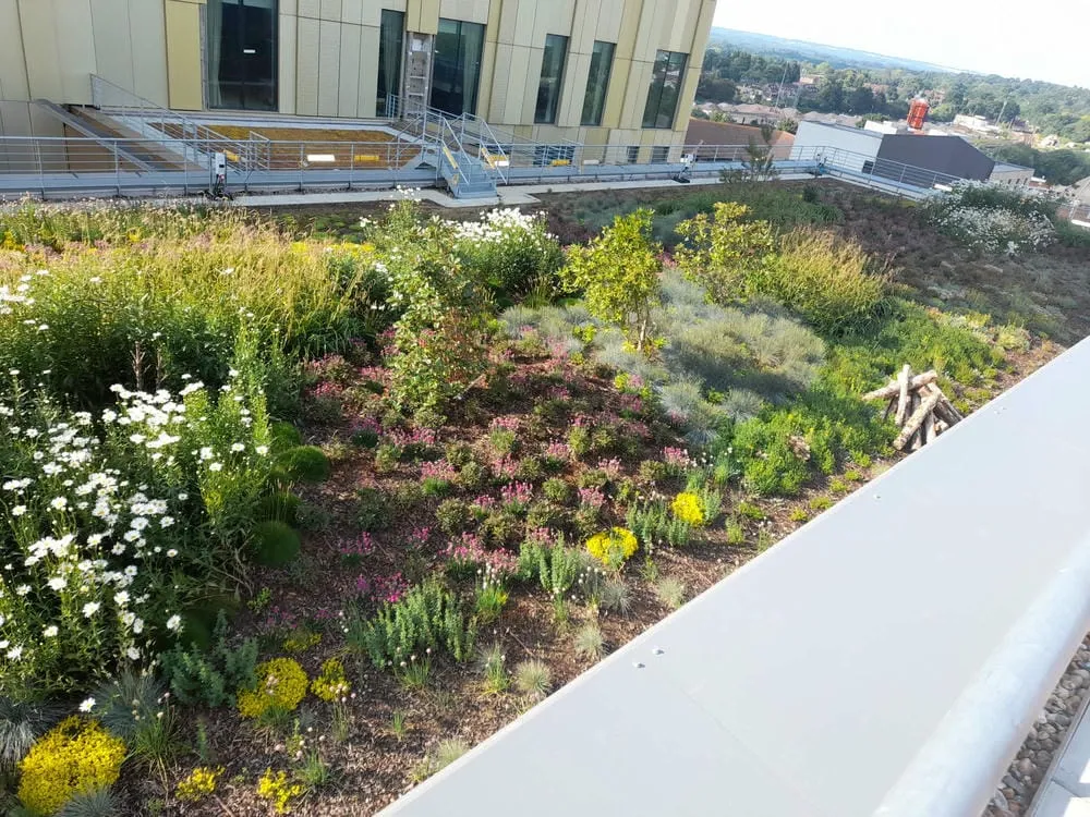 Green roof on top of Victoria Way Car Park