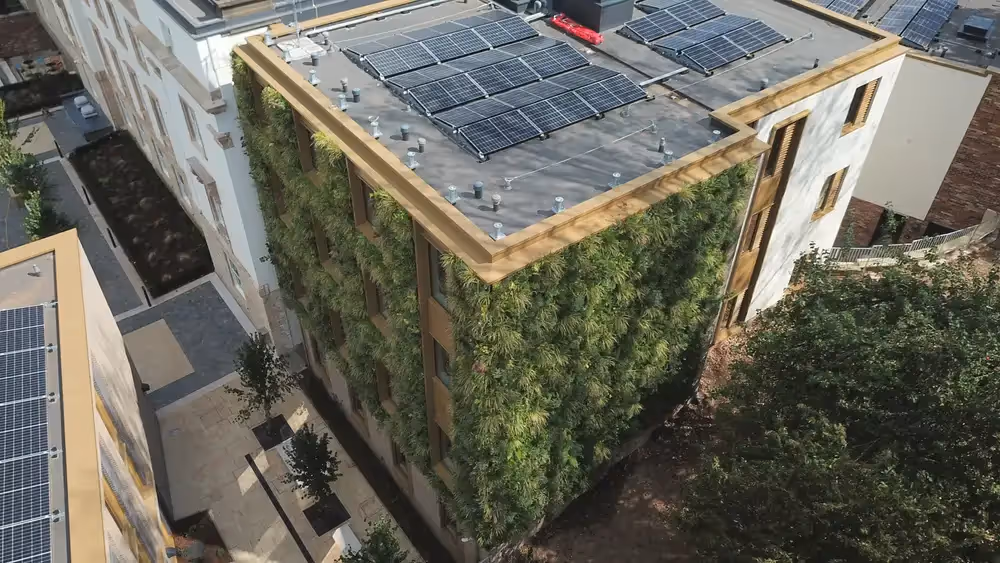 St Mary's in Bristol boasts a 250m² soil-based living wall, providing ecological habitats & urban greenery. It's a natural, aesthetic addition to the area.