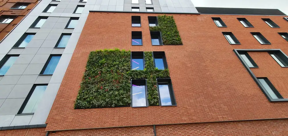 Over the three living walls, 6,240 plants are now thriving and growing, bringing benefits for the local environment and the community.