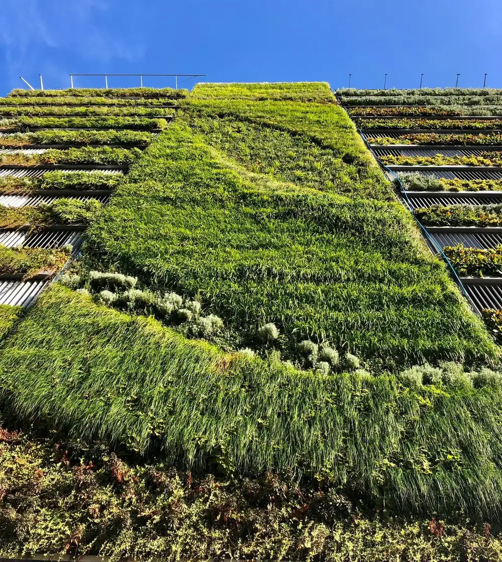 Close up of exterior living wall on Victoria Way Car Park