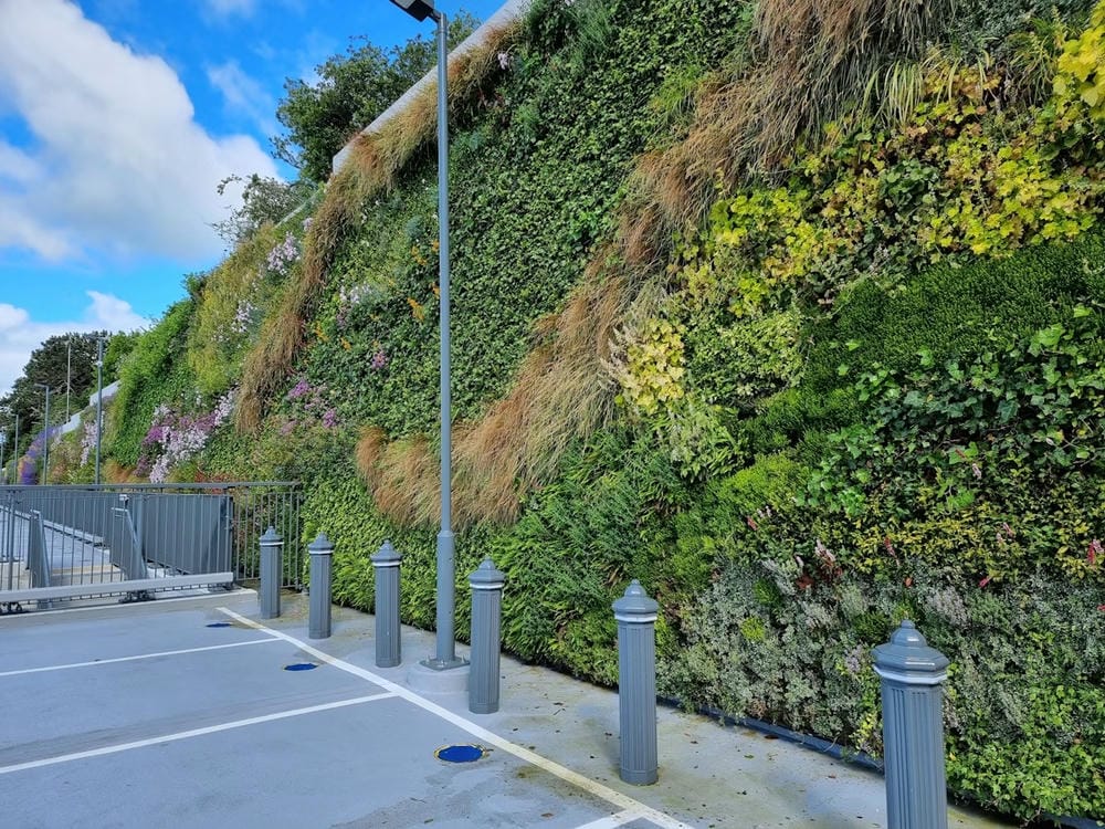 Close up of living wall in Kildare Village car park