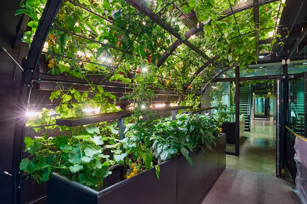 Indoor planter system in King's Cross Urban Farm