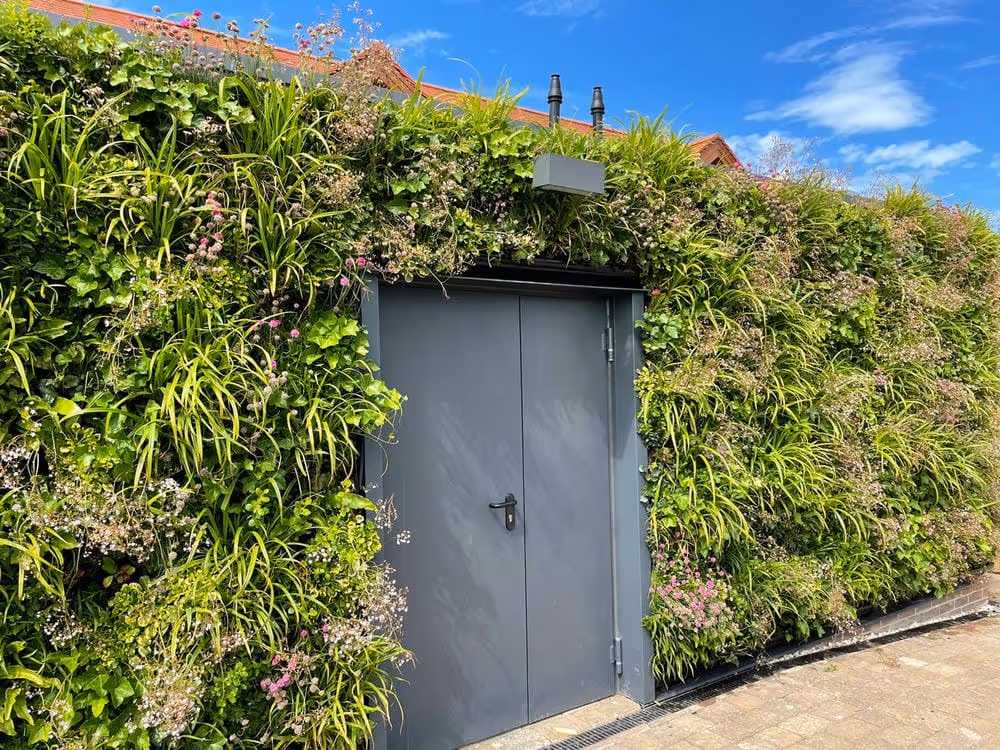 Exterior living wall of Gullane Golf Club, with an entrance in the centre of the wall