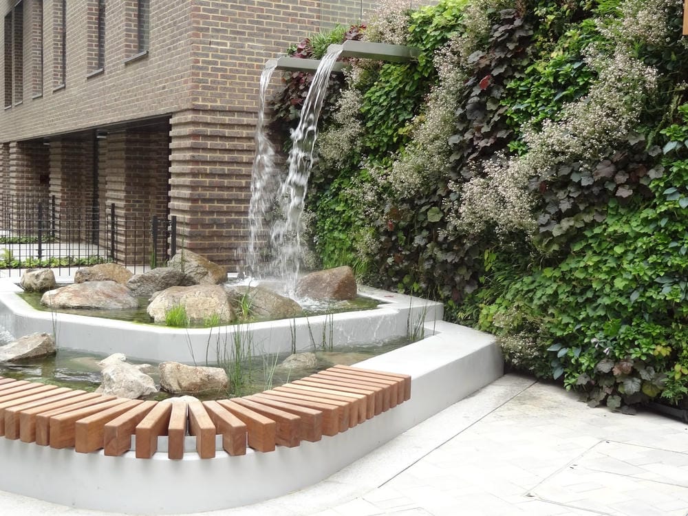 Image of an exterior living wall in Trafalgar Place, with a water feature integrated into the wall