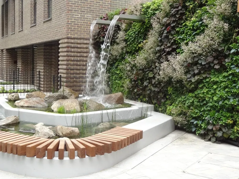 Image of an exterior living wall in Trafalgar Place, with a water feature integrated into the wall