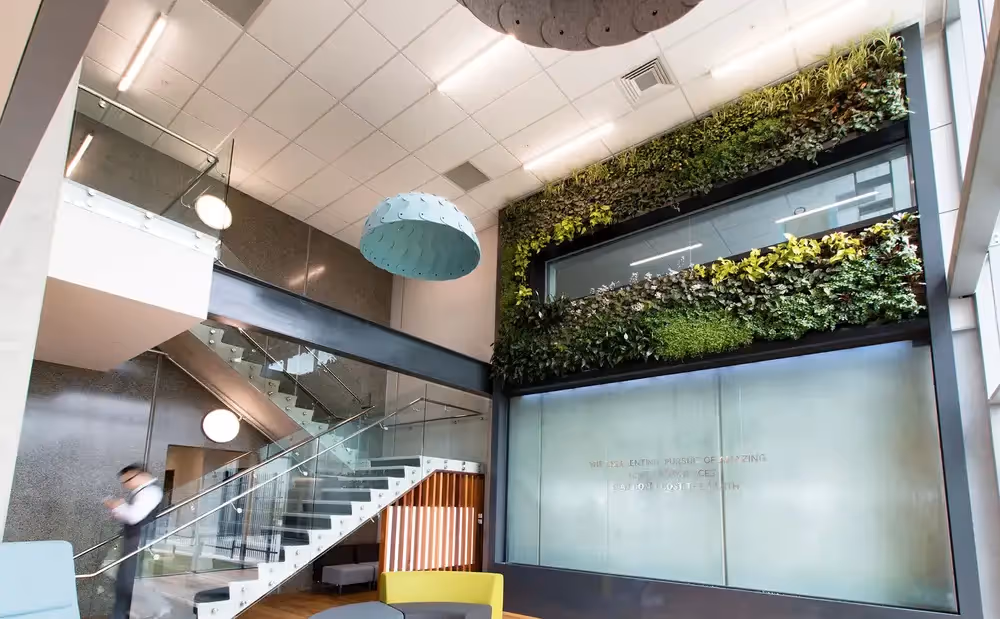 Inside of Methven office, with an interior living wall and waterfall feature 