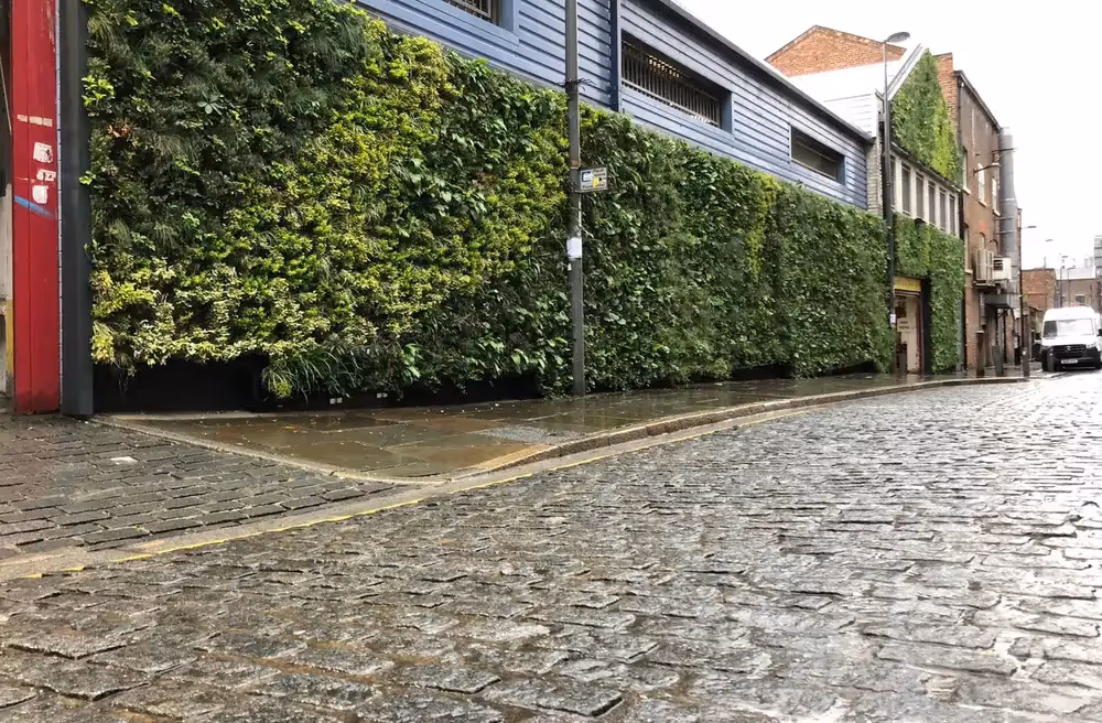 Parr Street, showing the cobbled street and the large living wall on the front of the buildings 