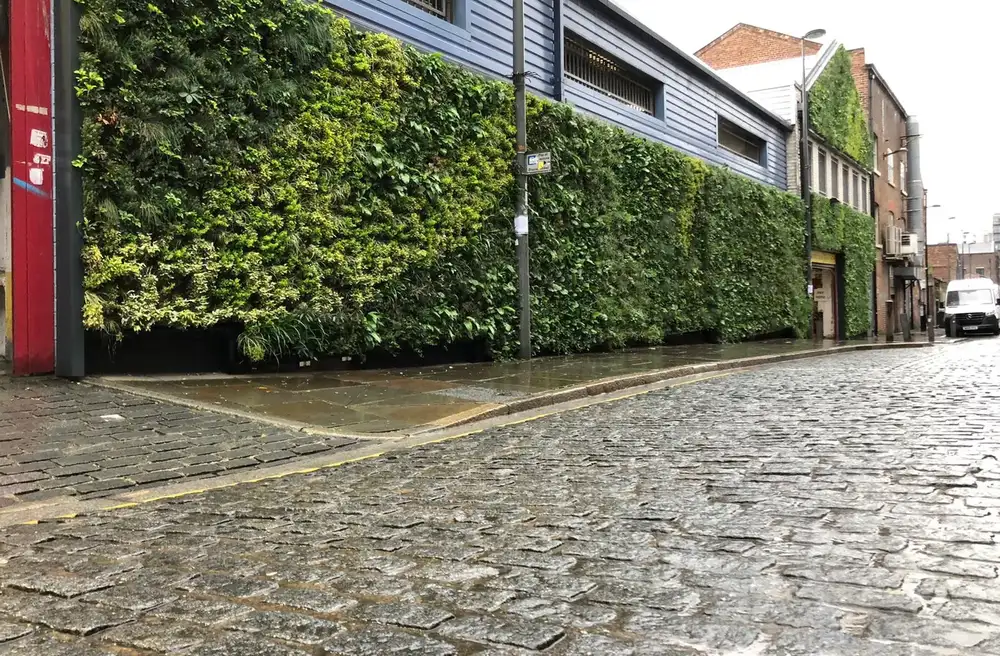 Parr Street, showing the cobbled street and the large living wall on the front of the buildings
