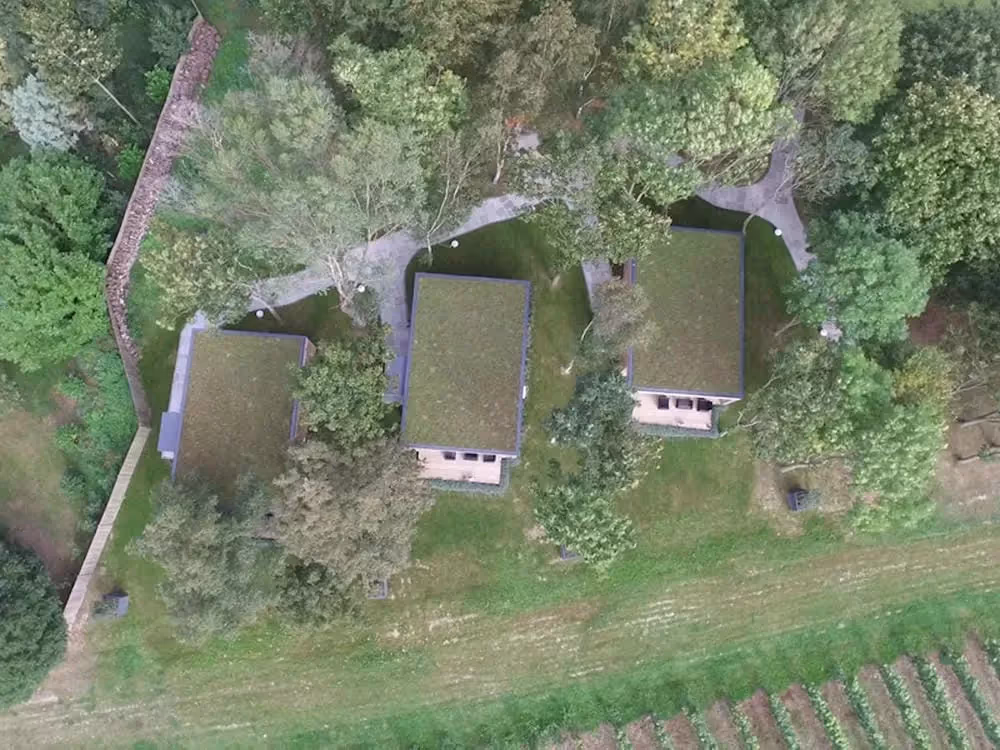 Birds-eye view of Tinwood Estate, showing the three buildings and their living roofs 
