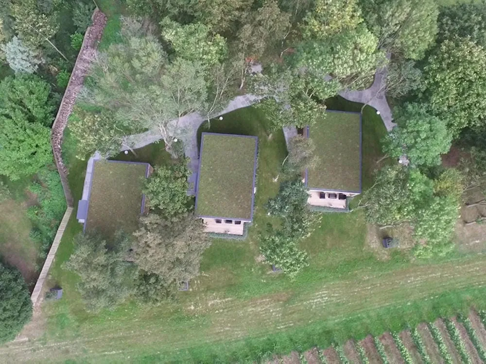 Birds-eye view of Tinwood Estate, showing the three buildings and their living roofs