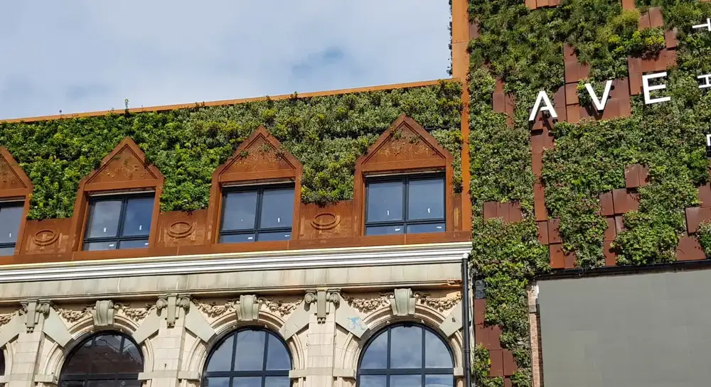 Close up of the front of The Avenue Centre, which has exterior living walls scattered throughout