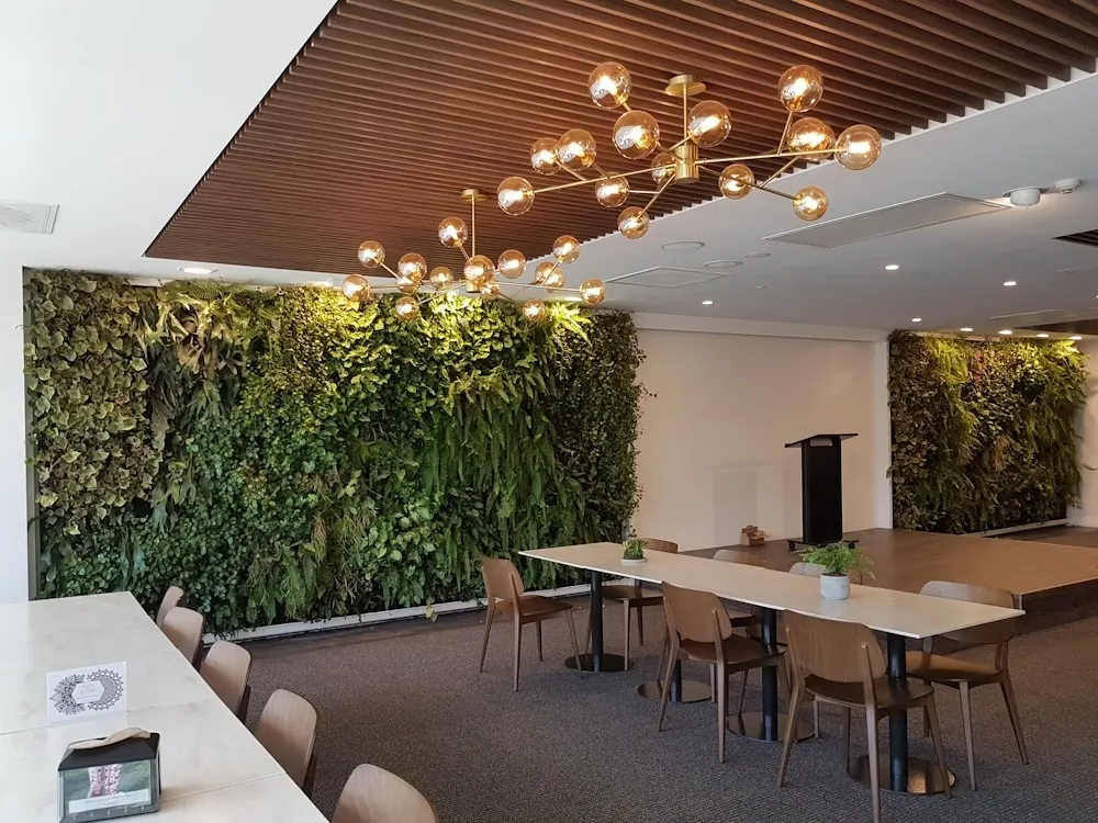 Interior of St Leonards Mental Health Clinic dining room, with two large living wall features