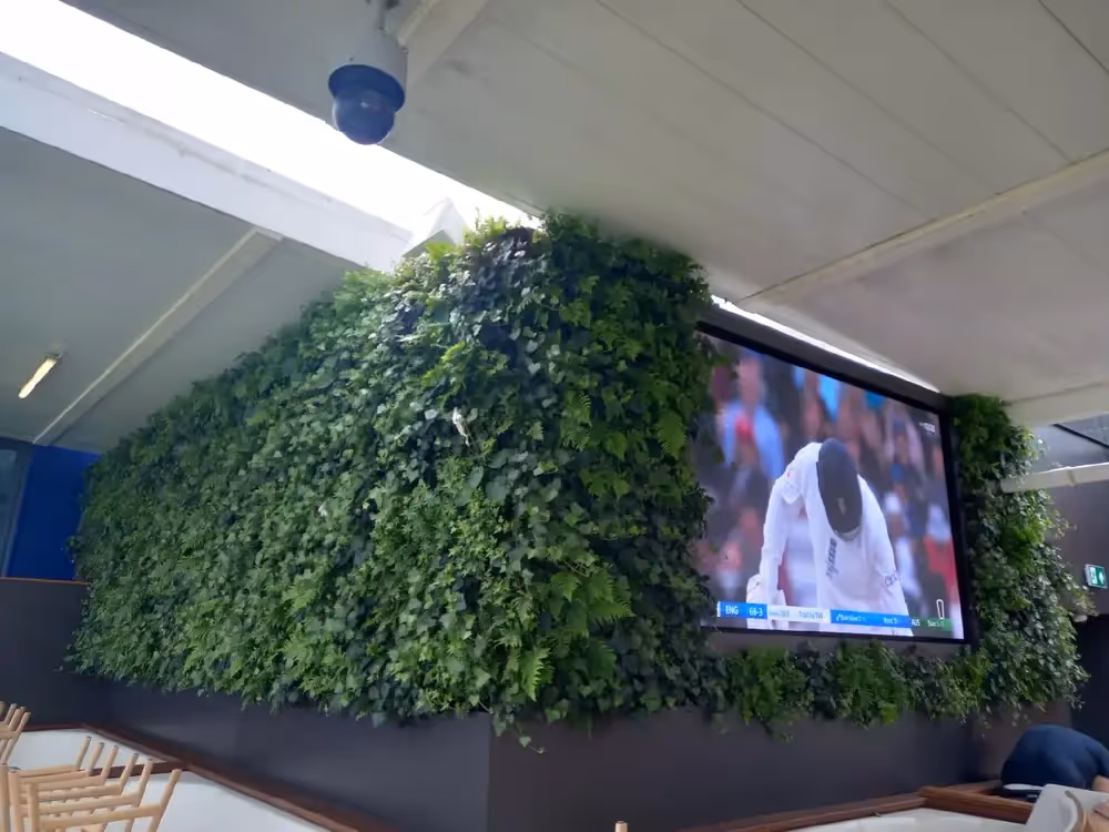 Our 80sqm living wall brought biophilia to the Men's Ashes, delighting fans. A stunning indoor-outdoor solution for any public space!