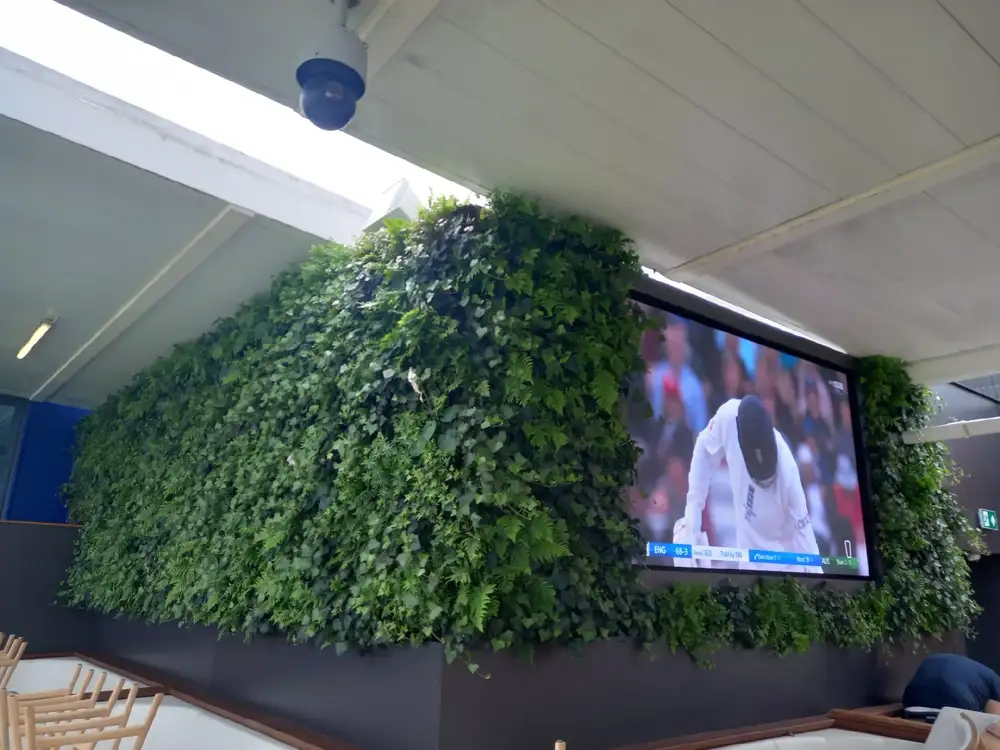 Our 80sqm living wall brought biophilia to the Men's Ashes, delighting fans. A stunning indoor-outdoor solution for any public space!