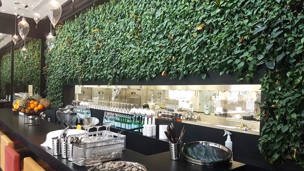 Tartufi & Friends bar, showing a interior living wall above the kitchen 