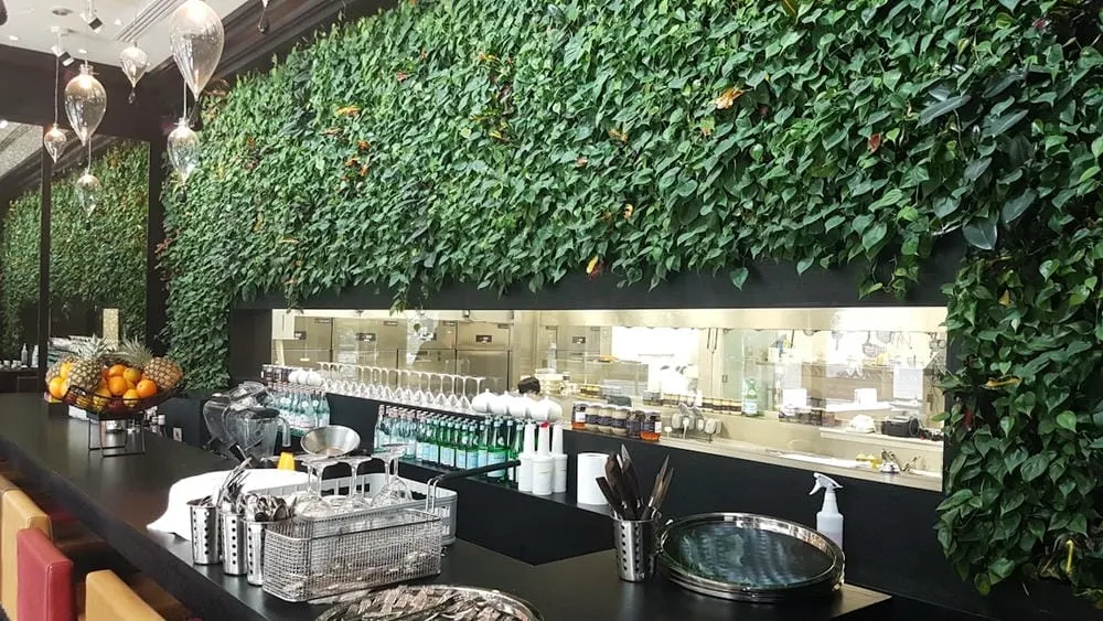 Tartufi & Friends bar, showing a interior living wall above the kitchen