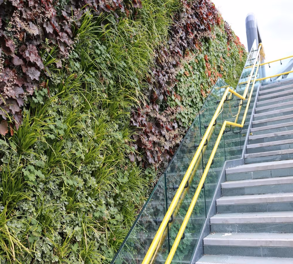 Deansgate Metrolink exterior stairs with a living wall running alongside 