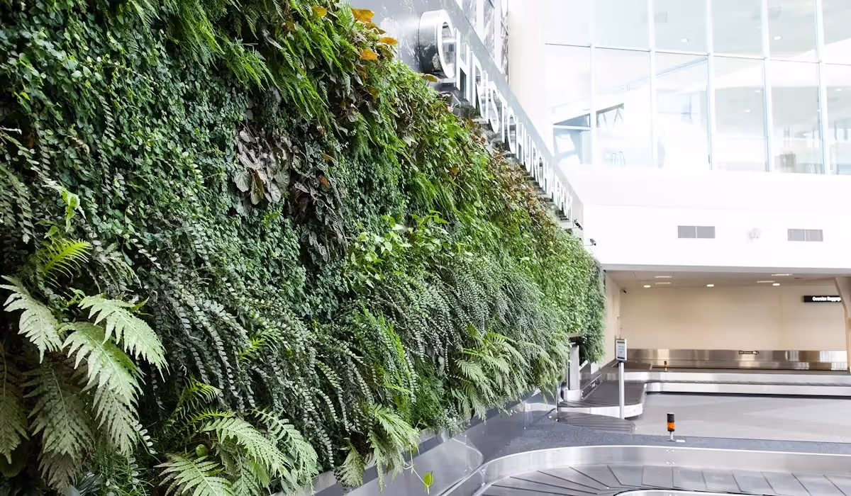 Christchurch Airport interior, with a large living wall