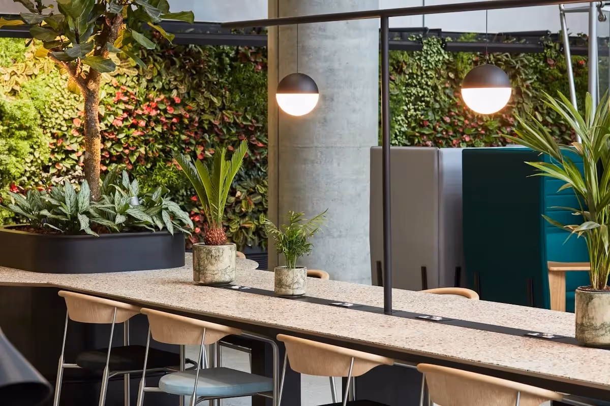 We are excited to share our part in this stunning example of biophilic design, combining natural light, open space, living walls and ‘hanging’ baskets and planters. 