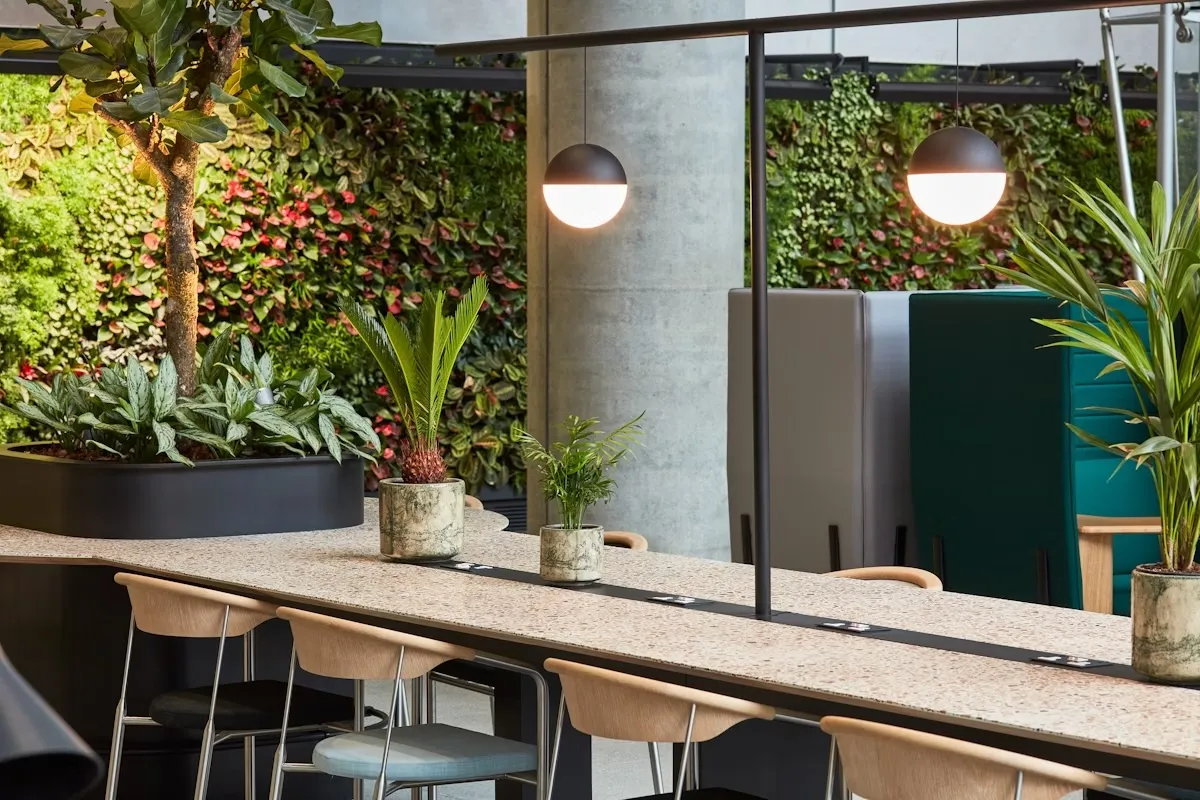 We are excited to share our part in this stunning example of biophilic design, combining natural light, open space, living walls and ‘hanging’ baskets and planters. 