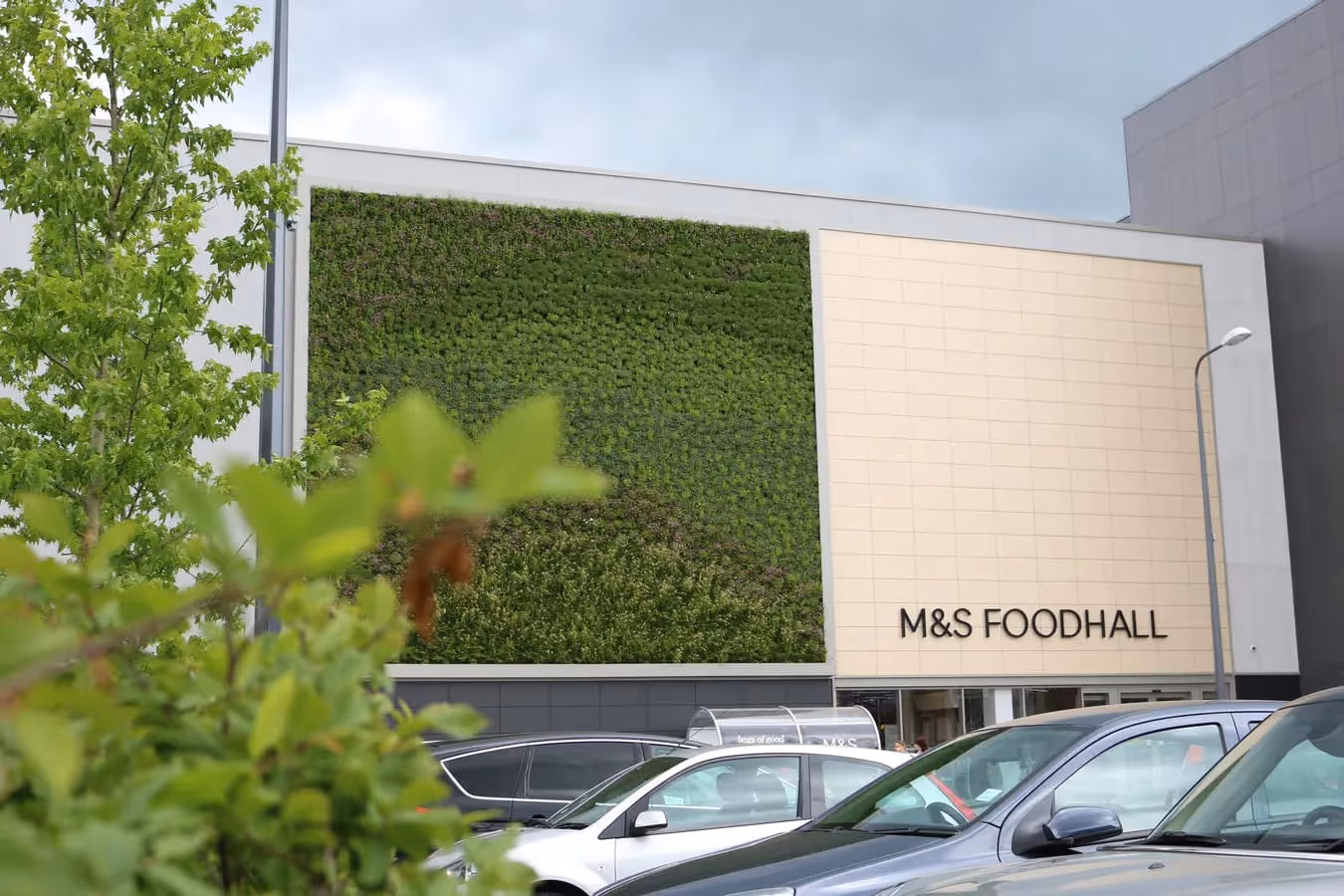M&S Longbridge living wall in Northumberland Street