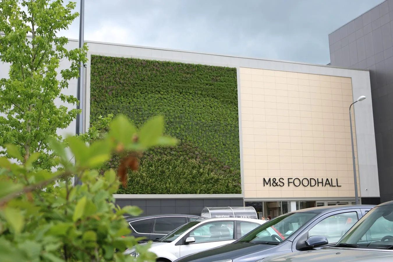 M&S Longbridge living wall in Northumberland Street