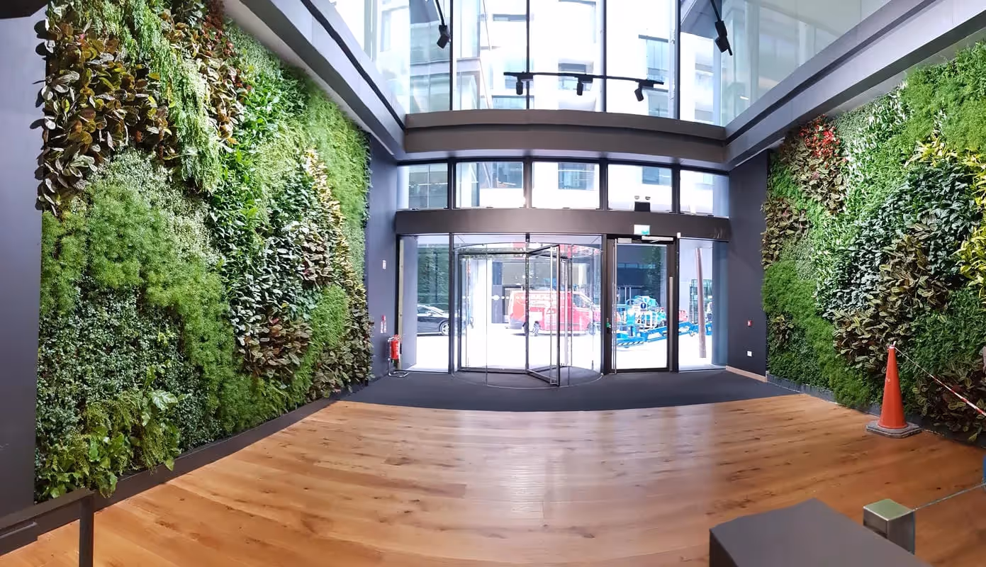 Indoor living wall inside an office reception in Avalon, Ireland.