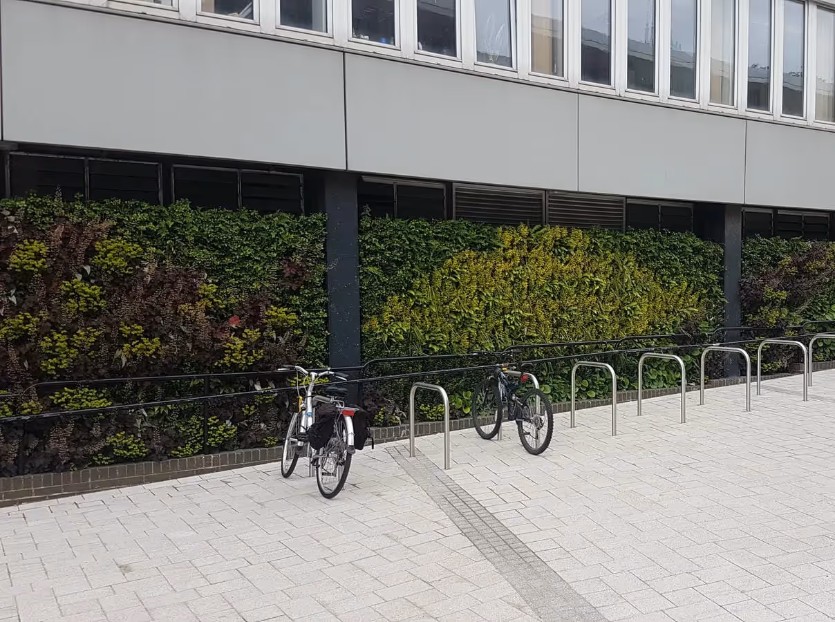 Outdoor living wall in front of bike racks at the university of Northumbria