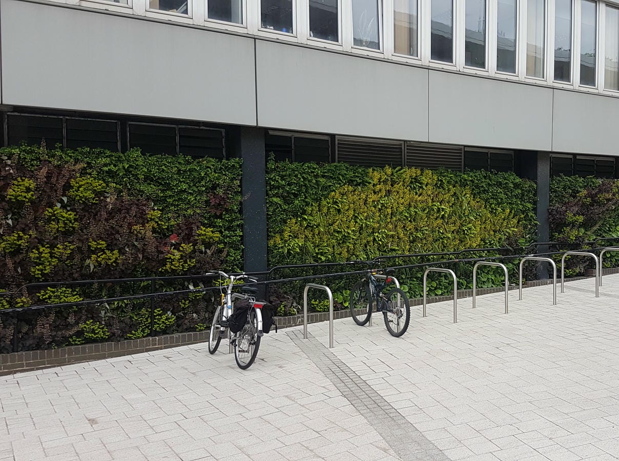 Outdoor living wall in front of bike racks at the university of Northumbria