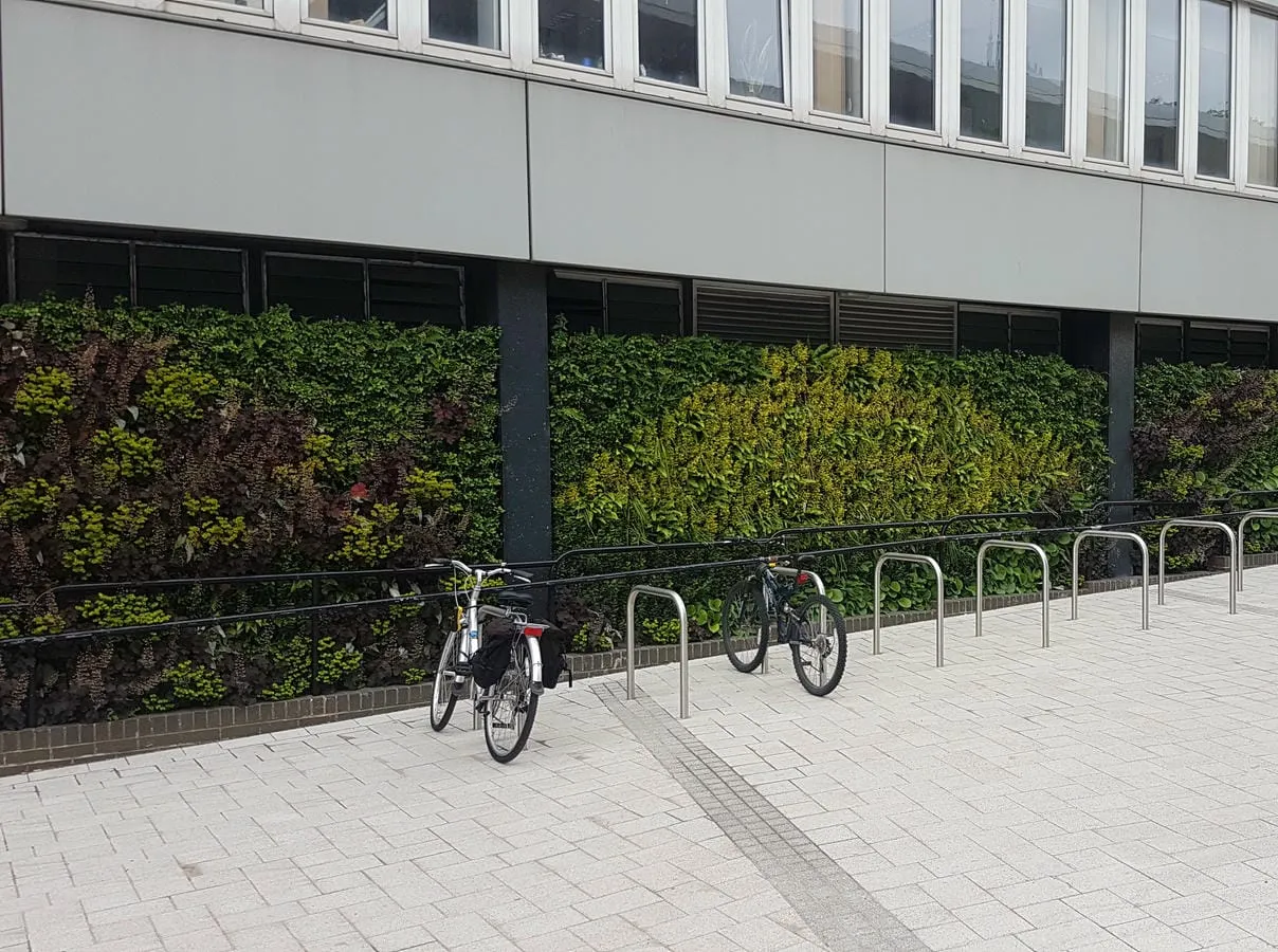 Outdoor living wall in front of bike racks at the university of Northumbria