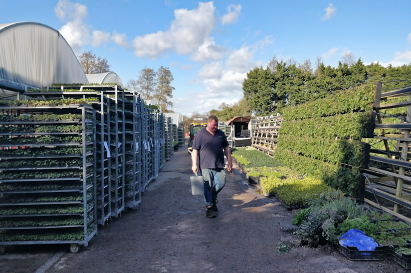 Living wall of plants and shelves with worker walking through nursery