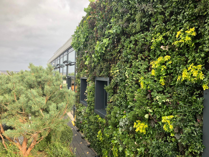 Dense living wall with green and yellow plants covering modern building exterior