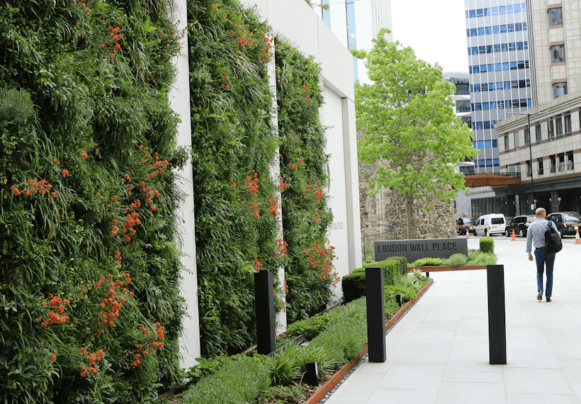 Lush living wall with green plants and red flowers at London Wall Place