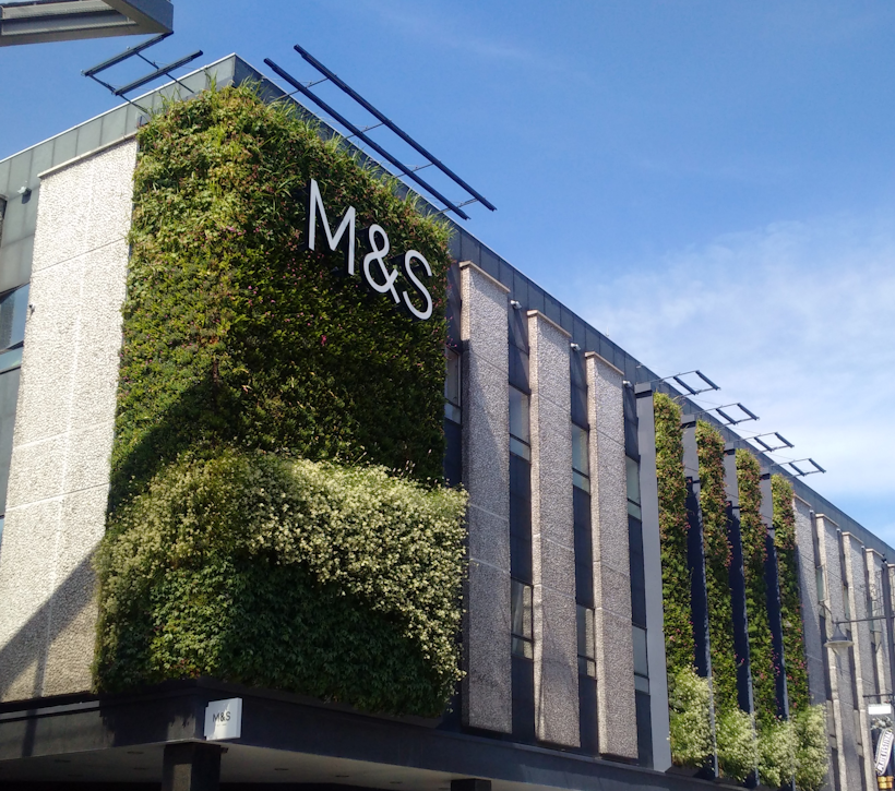 Living wall of green plants covering M&S building facade