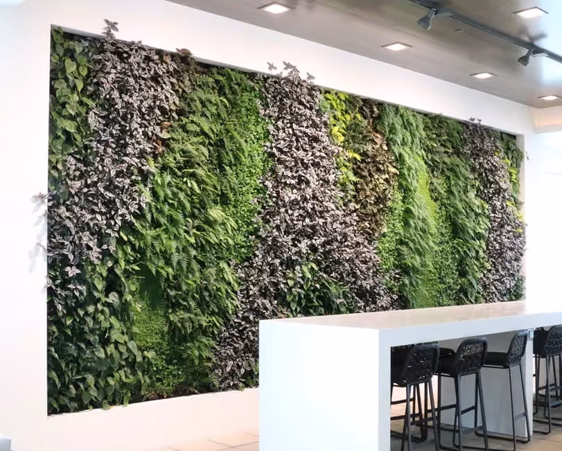 Indoor living walls and lighting in an office environment