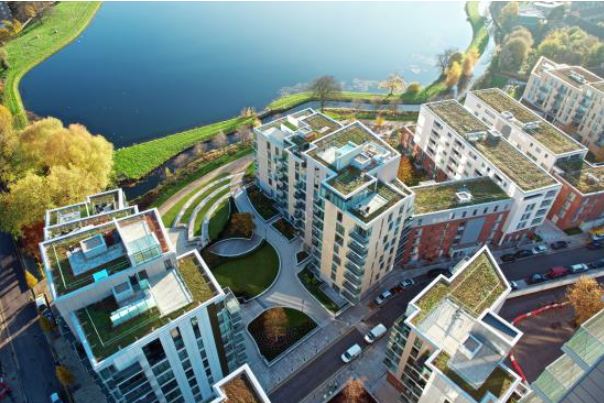 buildings near water with green rooftops and curved landscape design