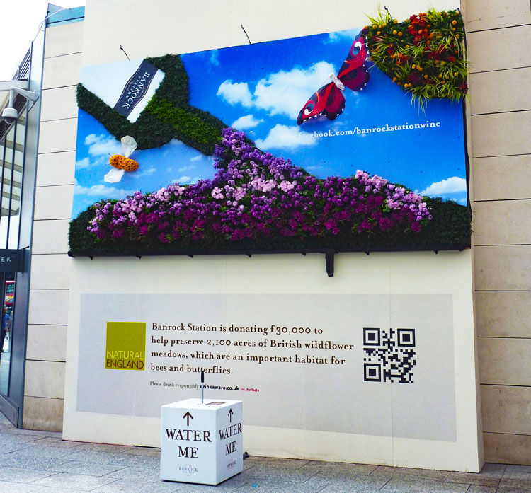 Living wall with butterflies and purple flowers promoting wildflower meadow conservation