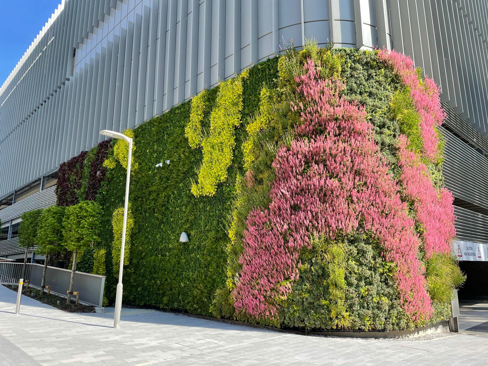 Vibrant living wall with pink and green plants covering modern building exterior