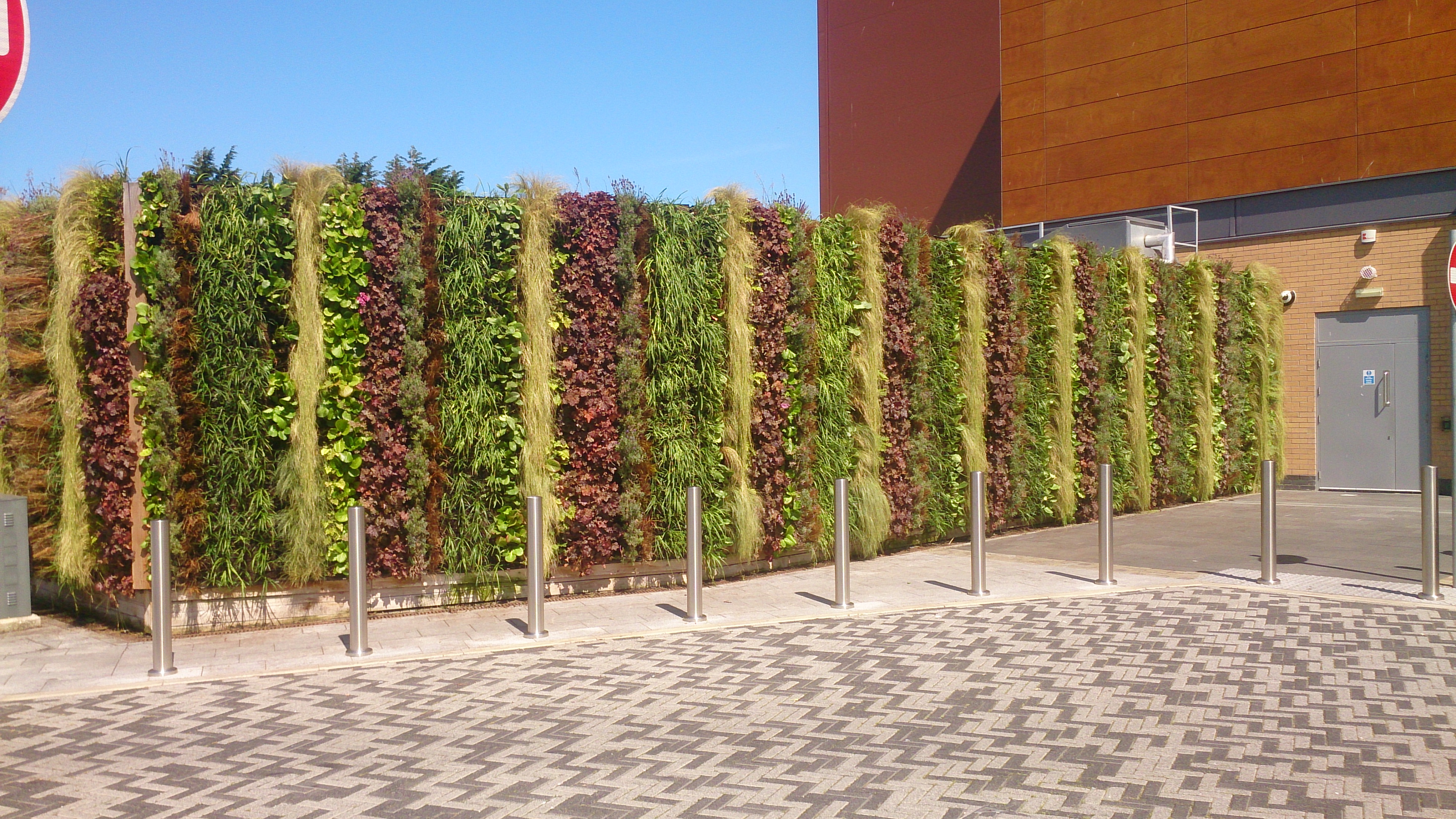Living wall with diverse plants decorating exterior urban building facade