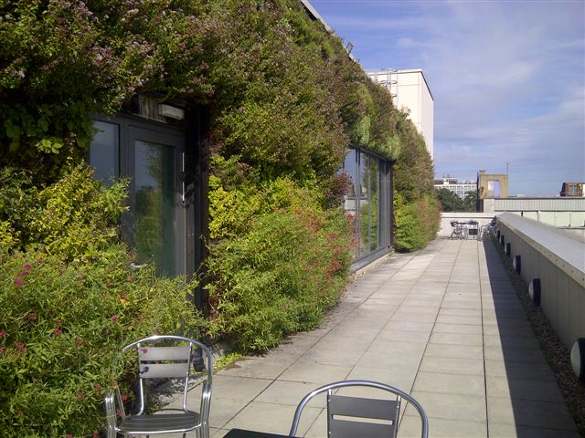 Living wall covering building exterior with lush green plants and chairs