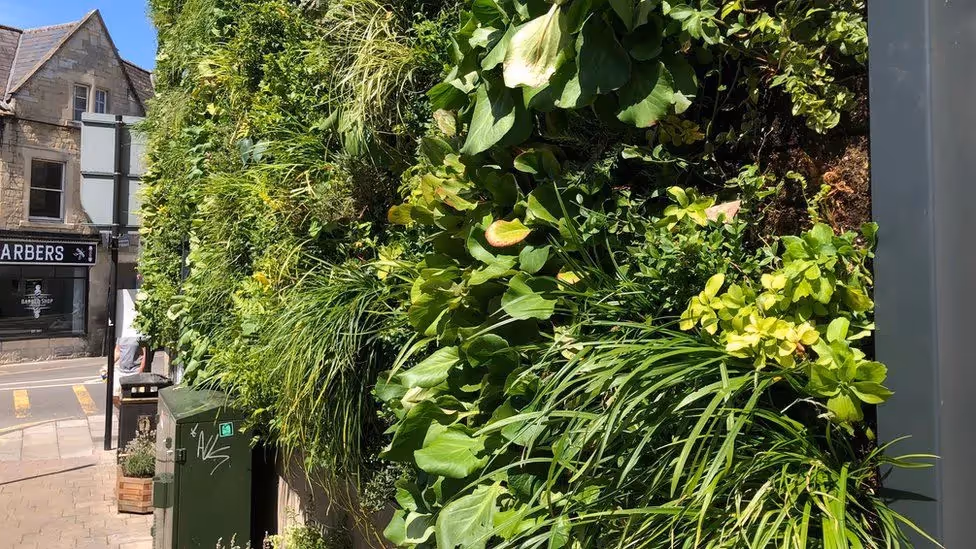 Lush vertical green wall with diverse plants next to urban street and building