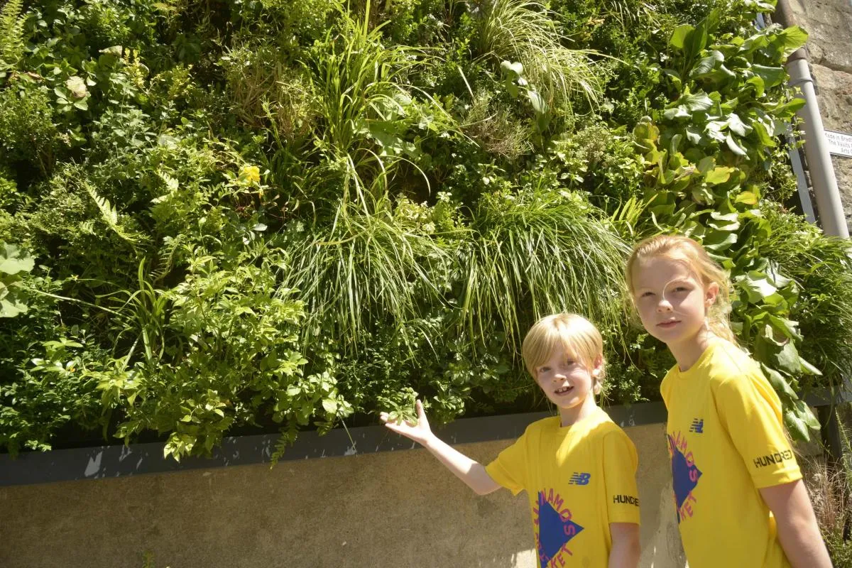 Two children in yellow shirts standing near lush green vertical garden wall