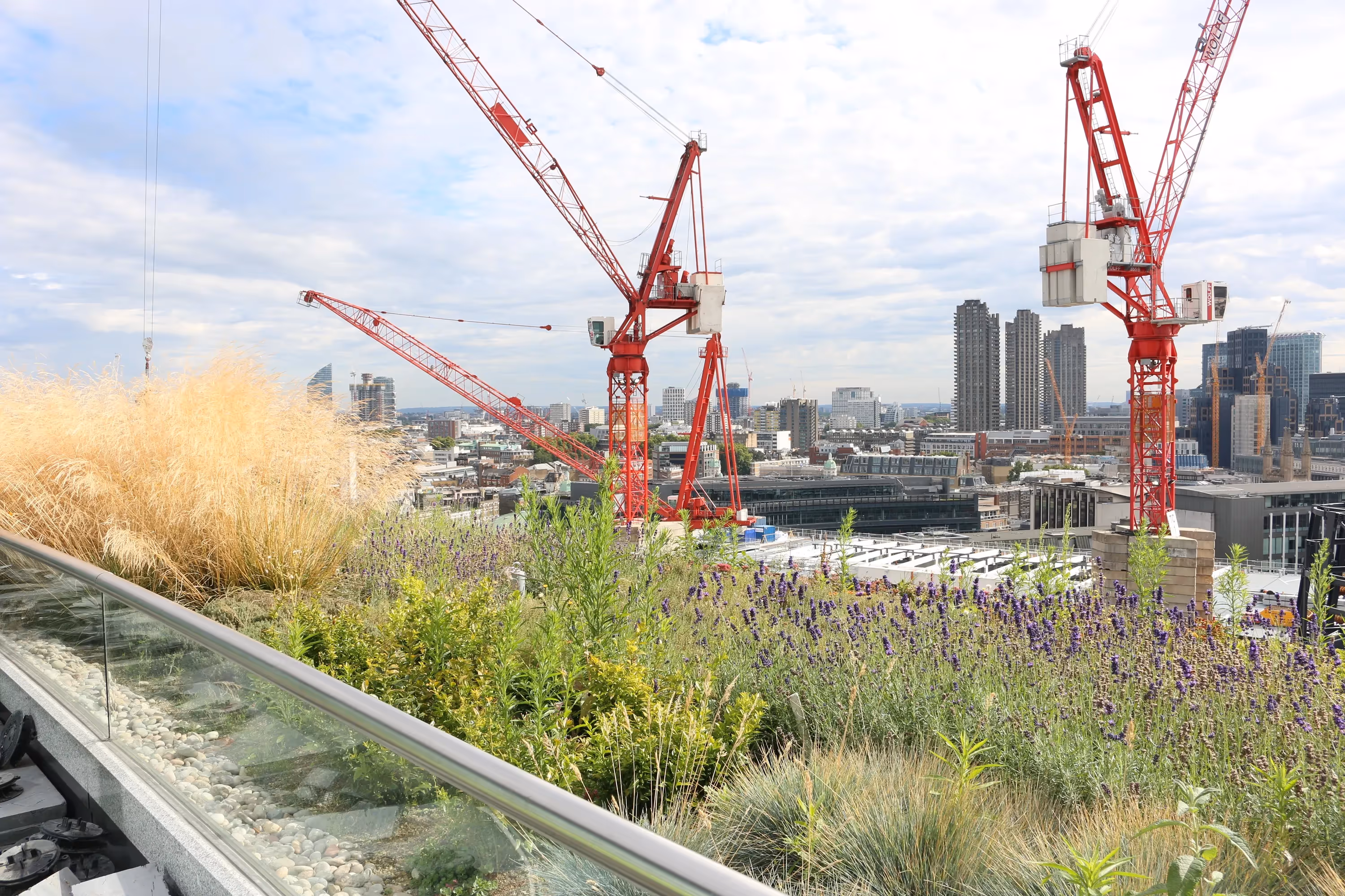 Urban rooftop garden with red construction cranes and city skyline