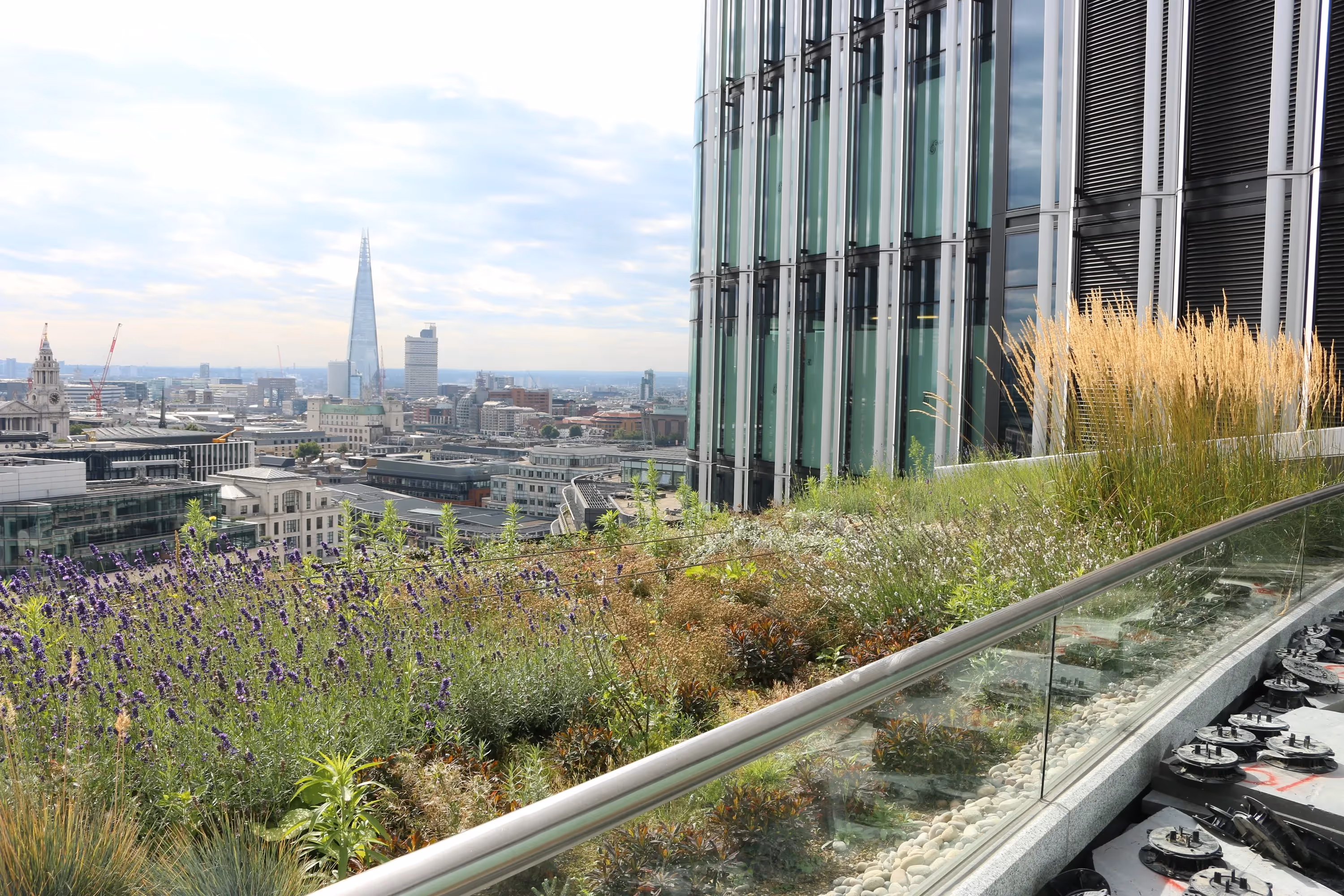 London rooftop garden with lavender and city skyline including Shard