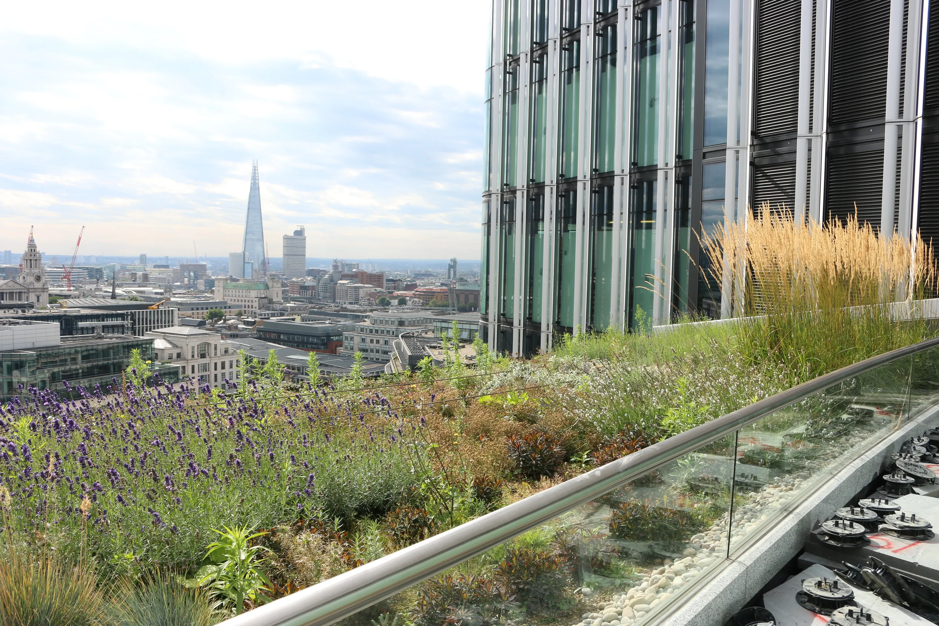 London rooftop garden with lavender and city skyline including Shard
