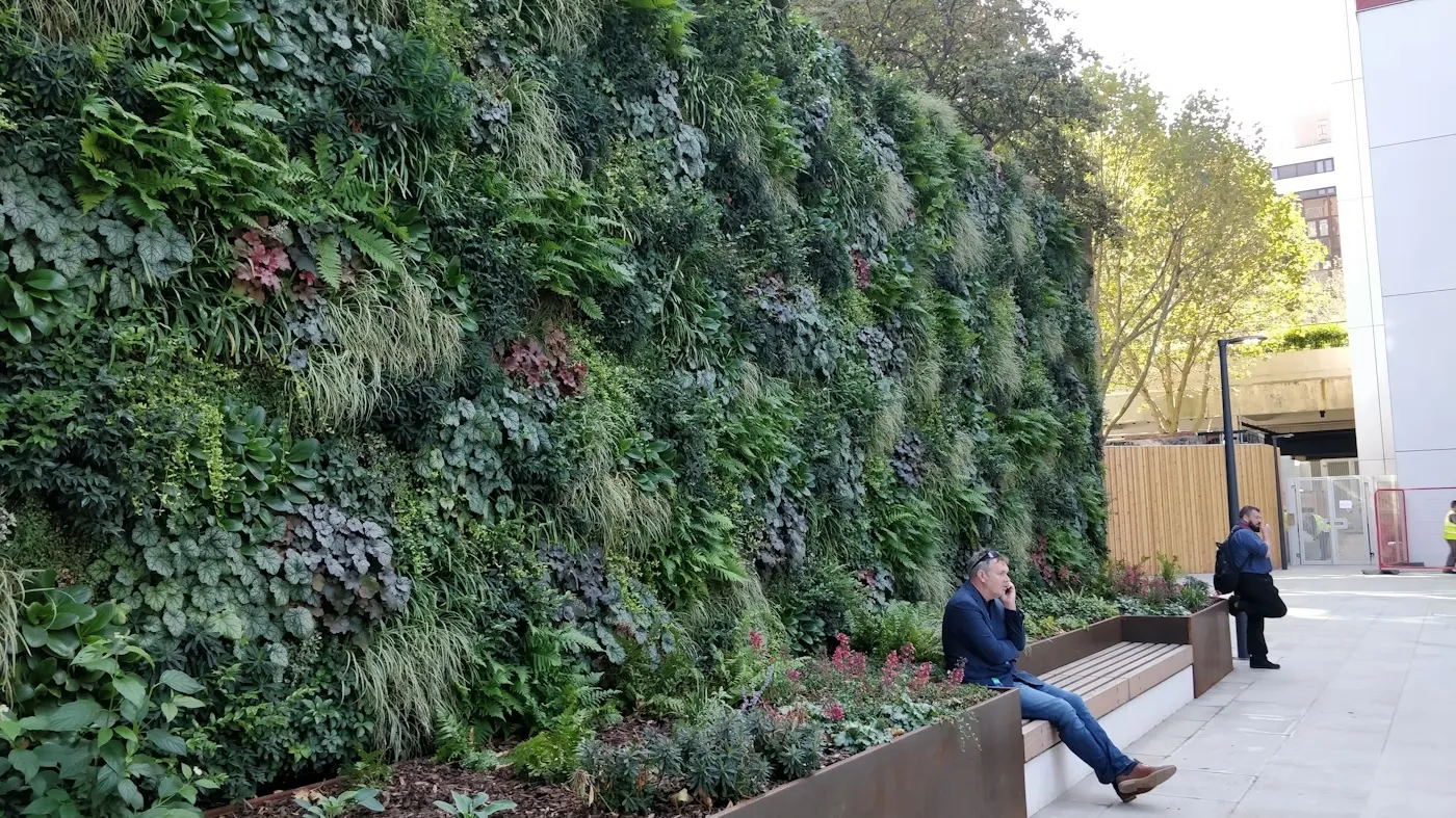 Lush green vertical garden wall with person sitting on bench nearby