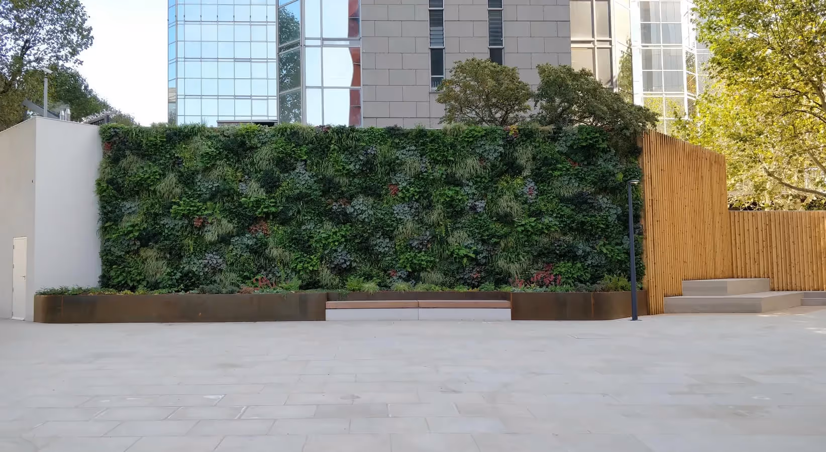 Vertical garden wall with lush green plants in urban architectural setting