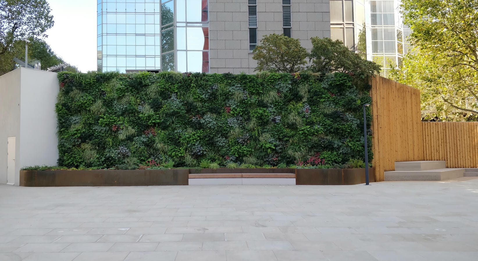 Vertical garden wall with lush green plants in urban architectural setting
