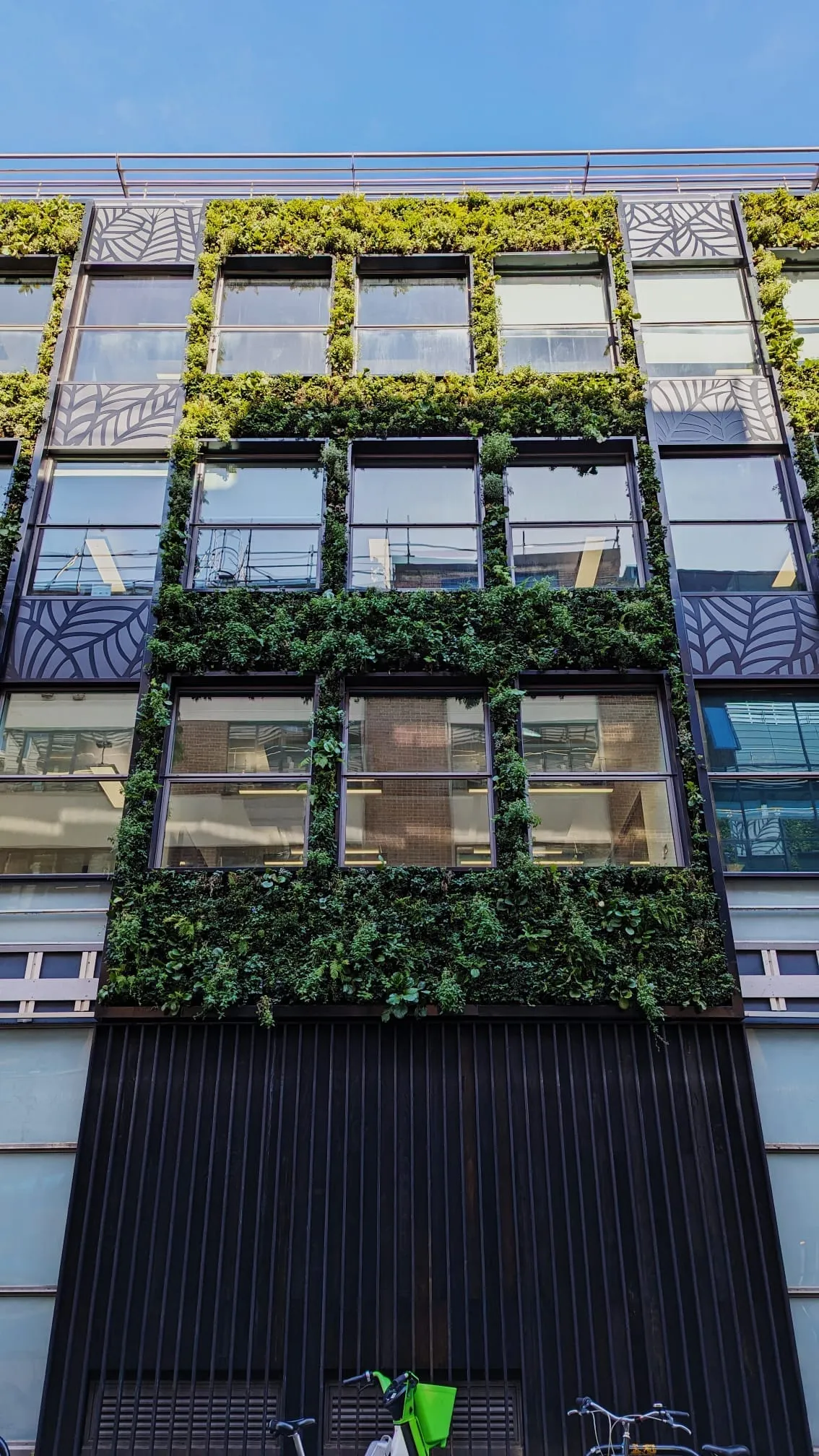 Green vertical garden covering modern office building facade with glass windows
